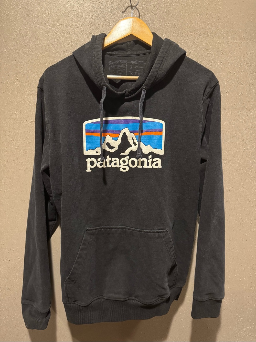 Patagonia Black Hoodie with Multicolor Classic Mountain Logo